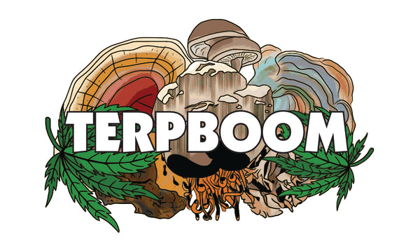 TerpBoom